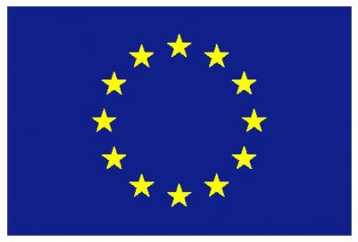 Afoex, organización o grupo de interés transparente en Europa